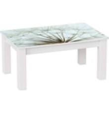 Стіл журнальний Art In Head B-Jet Print 988 900x425x600 Аляска структурна/Білі ноги (131026215)