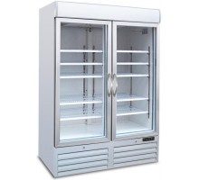 Шафа холодильна Tecfrigo POLO900GVSPOT
