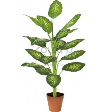 746D-42 - Дифенбахія плямиста, коричневий горщик