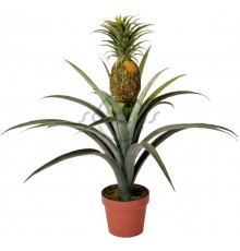 780-24-1 - Ананас, коричневий горщик