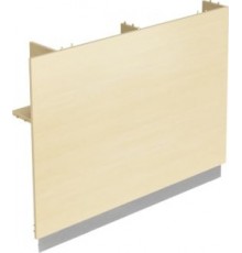 Модуль ресепшн MP105L