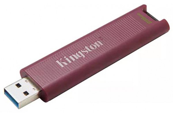 Kingston USB 256Gb DT Max 3.2