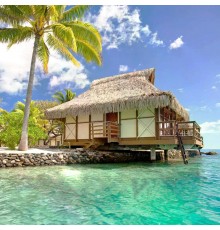 Настінний обігрівач (400Вт, 100х57см,  Бунгало)