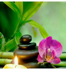 Настінний обігрівач (400Вт, 100х57см,  Гармонія)