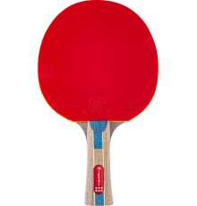 Ракетка для настільного тенісу inSPORTline Shootfair S6
