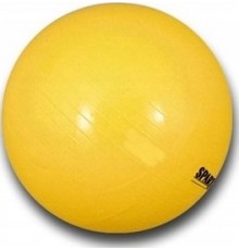 М'яч гімнастичний SPARTAN 45 см