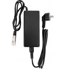 Зарядний пристрій DHS Phylion 2A для електровелосипедів