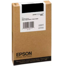 Картридж Epson T603100 Photo Black (C13T603100)