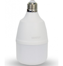 Лампа світлодіодна Lightwell LW-TB-20W (20Вт, 6500К) (301040)