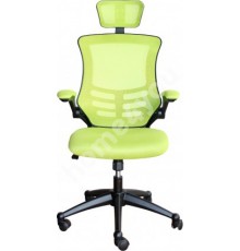 Крісло офісне RAGUSA light green