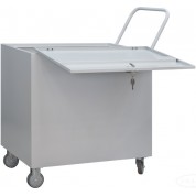 БАНКІВСЬКІ ВІЗКИ